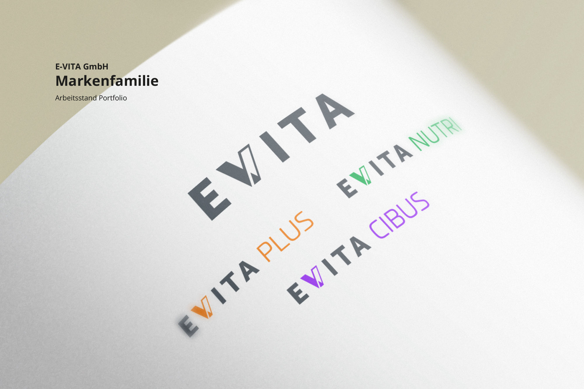 E-VITA GmbH – Technologie, die schützt.