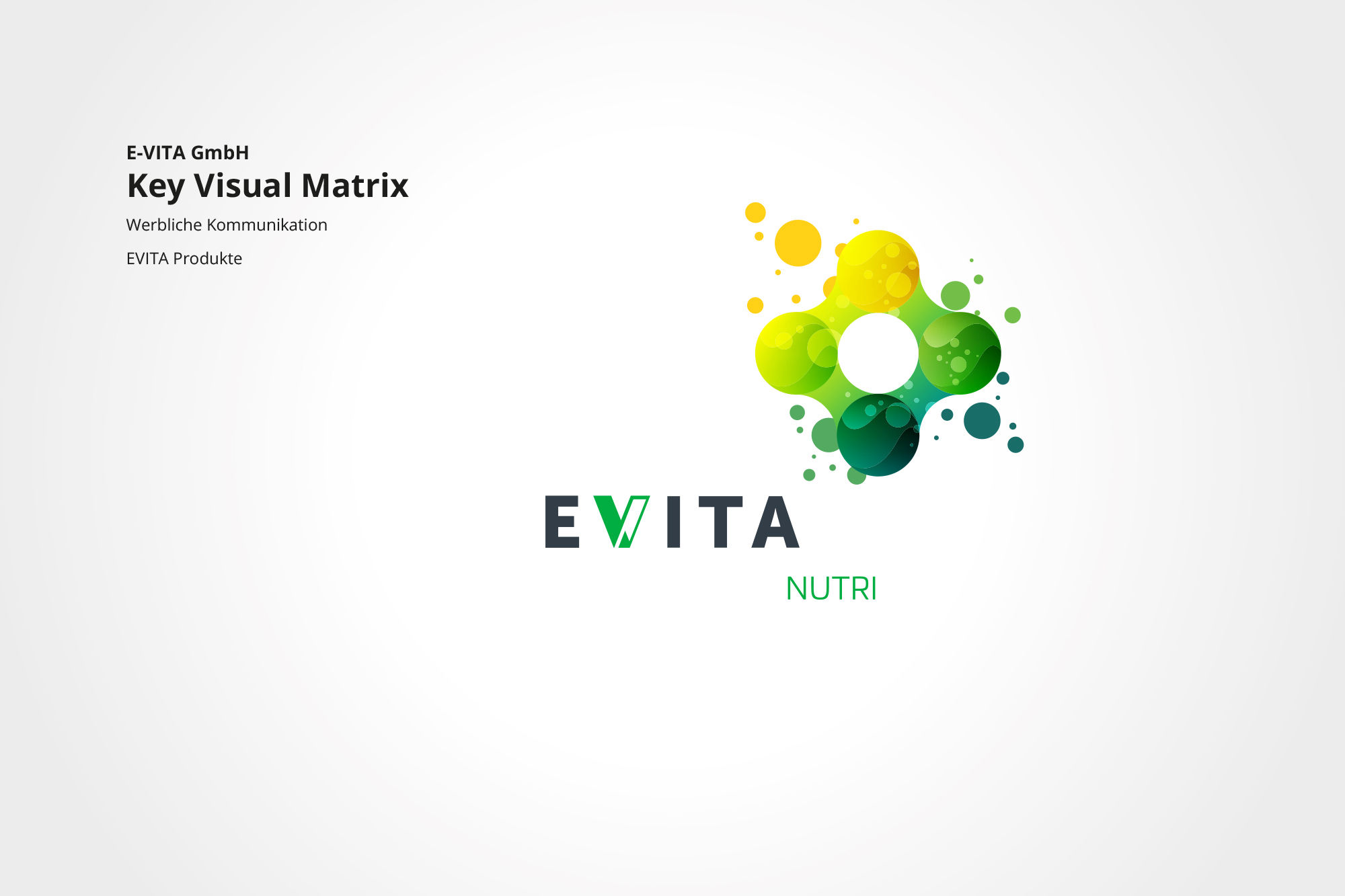 E-VITA GmbH – Technologie, die schützt.